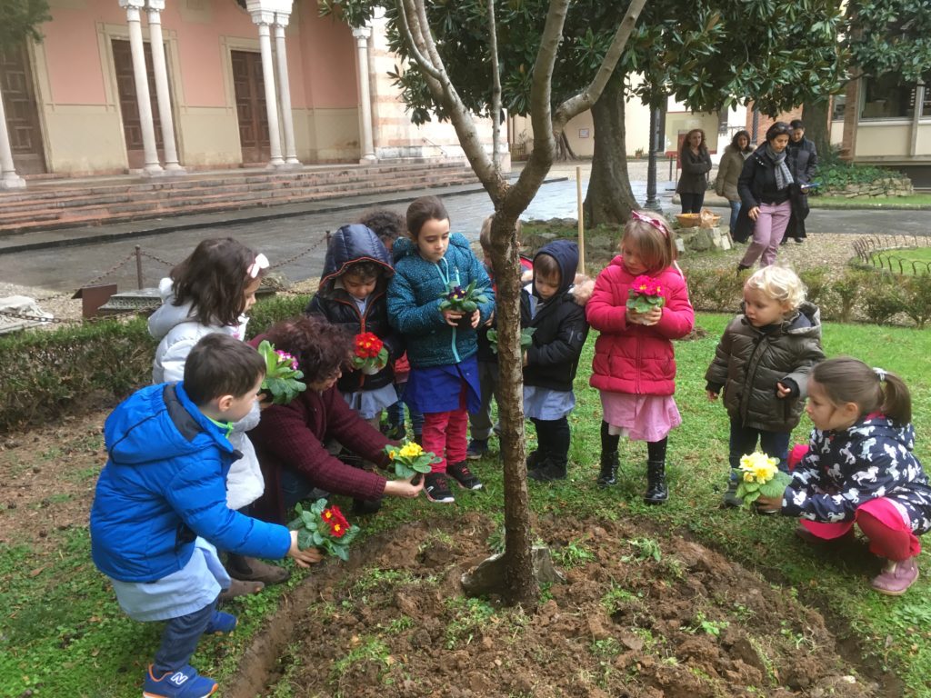 Tu biShvat capodanno degli alberi: mettiamo a dimora le primule